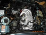 DSCNq0198.jpg